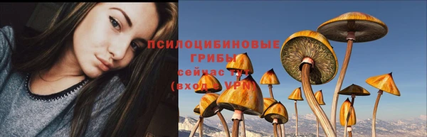 Альфа ПВП Заречный