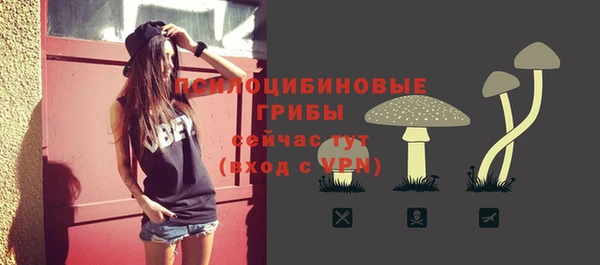 spice Ладушкин