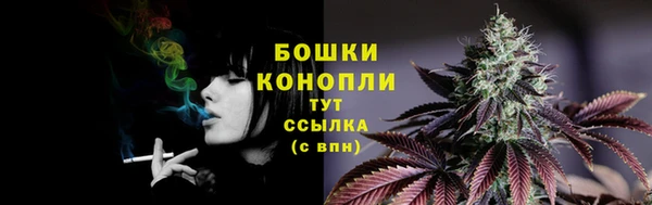 сатива Лабытнанги