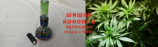 сатива Лабытнанги