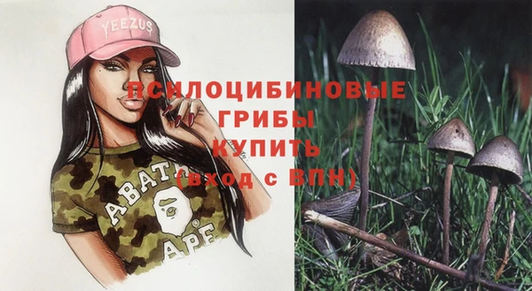 Альфа ПВП Заречный