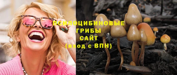 винт Куйбышев