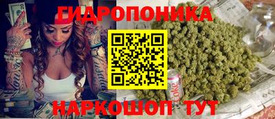прущие грибы Балашиха