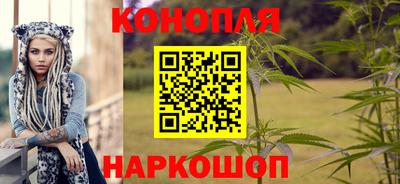прущие грибы Балашиха