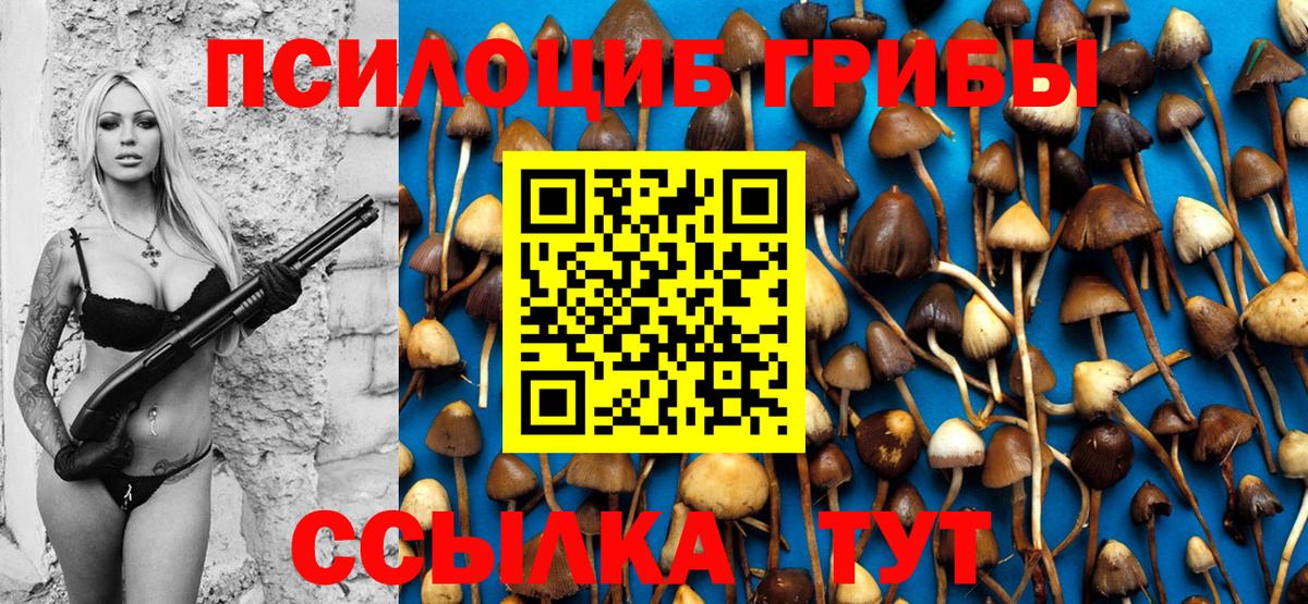 Псилоцибиновые грибы Magic Shrooms  Галлюциногенные грибы прущие грибы  Новоуральск 