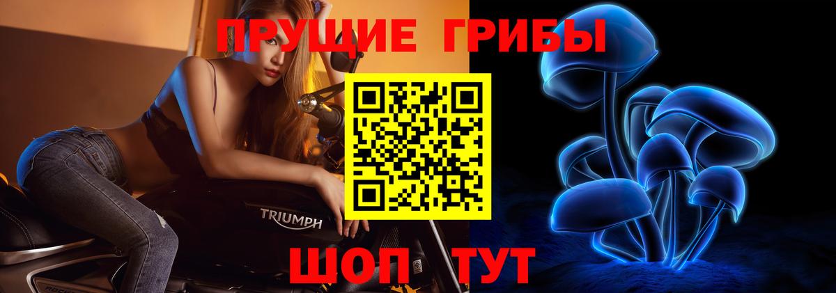купить  цена  Галлюциногенные грибы Magic Shrooms  Вход с VPN  Новоуральск 