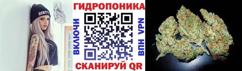 магазин  наркотиков  Новоуральск  МАРИХУАНА ГИДРОПОН 